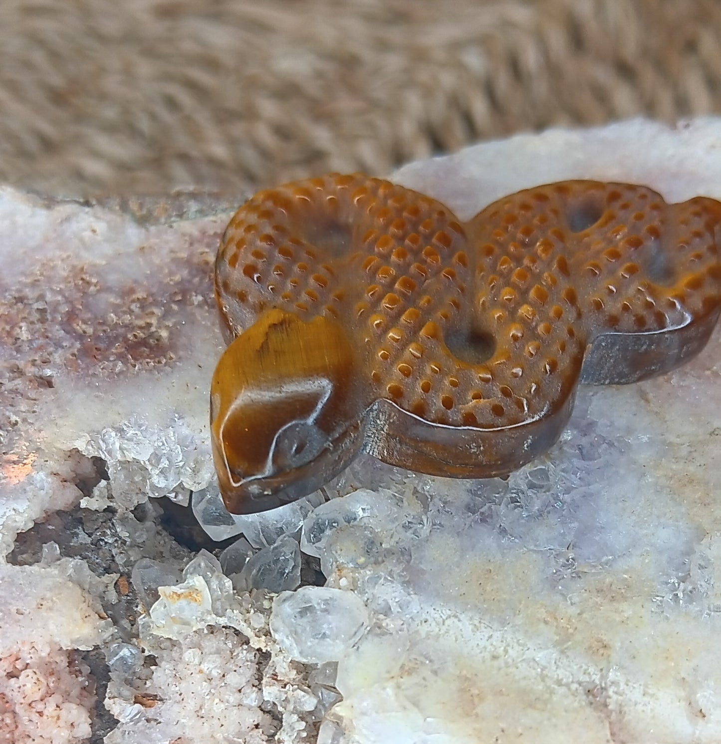 Natural Tiger's Eye Stone Snake Carve,Quartz Crystal Snake,Tiger's Eye Carve,Mineral Specimen,Metaphysical Crystal,Crystal Heal,Crystal Gift