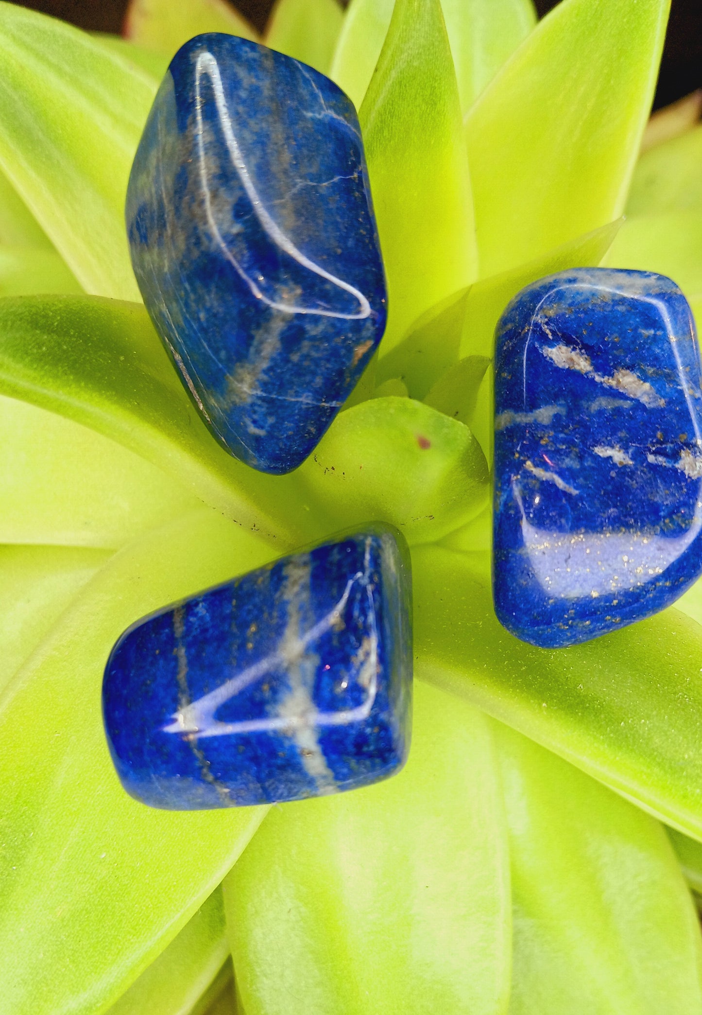 Natural Lapis Lazuli Tumbled Polished