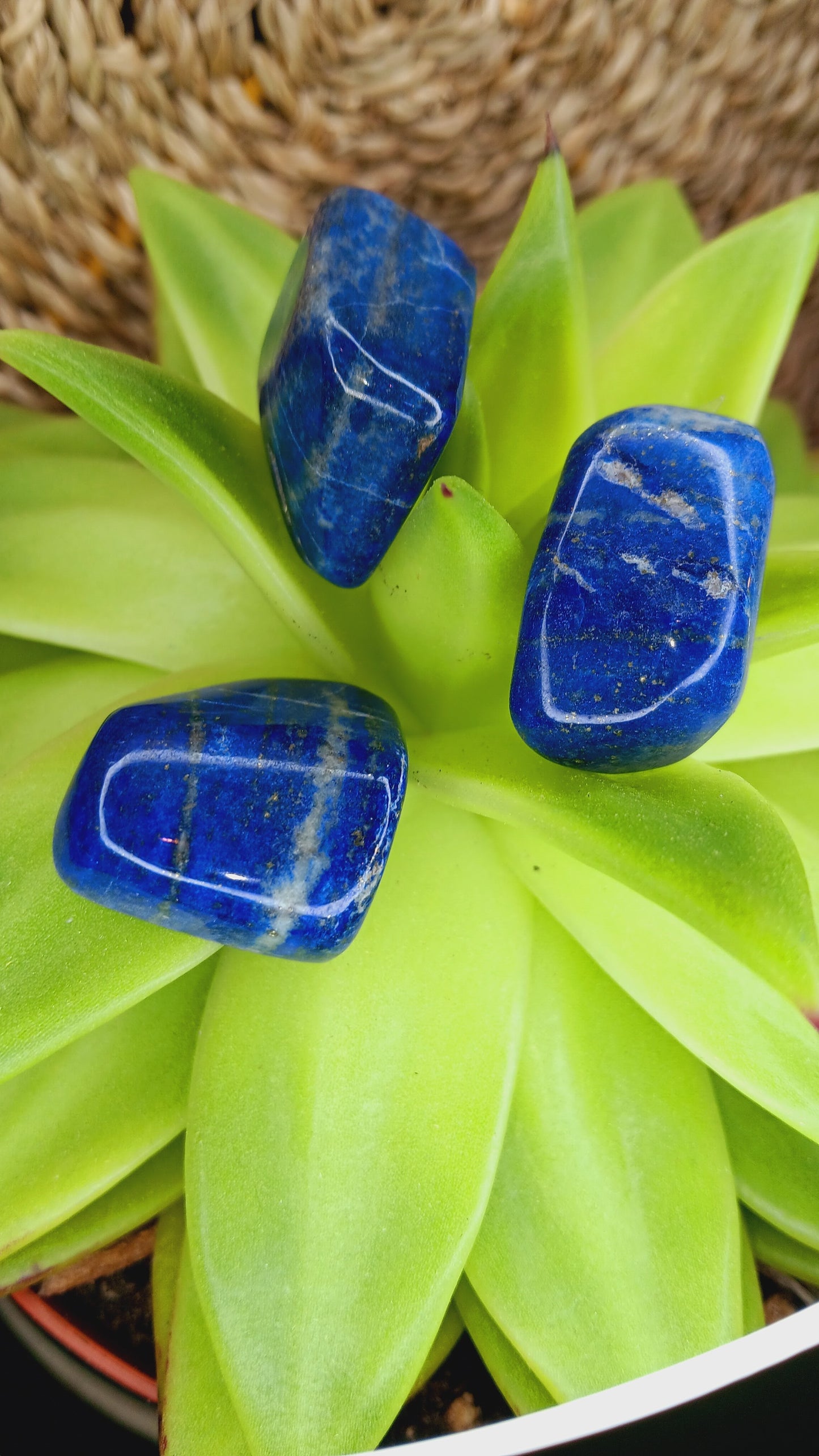 Natural Lapis Lazuli Tumbled Polished