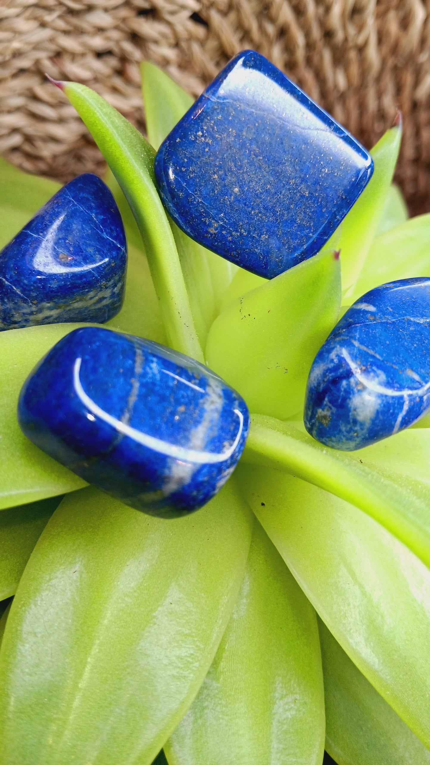 Natural Lapis Lazuli Tumbled Polished