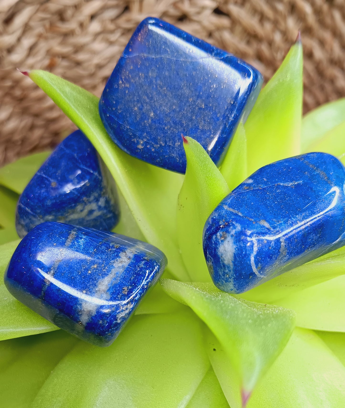 Natural Lapis Lazuli Tumbled Polished