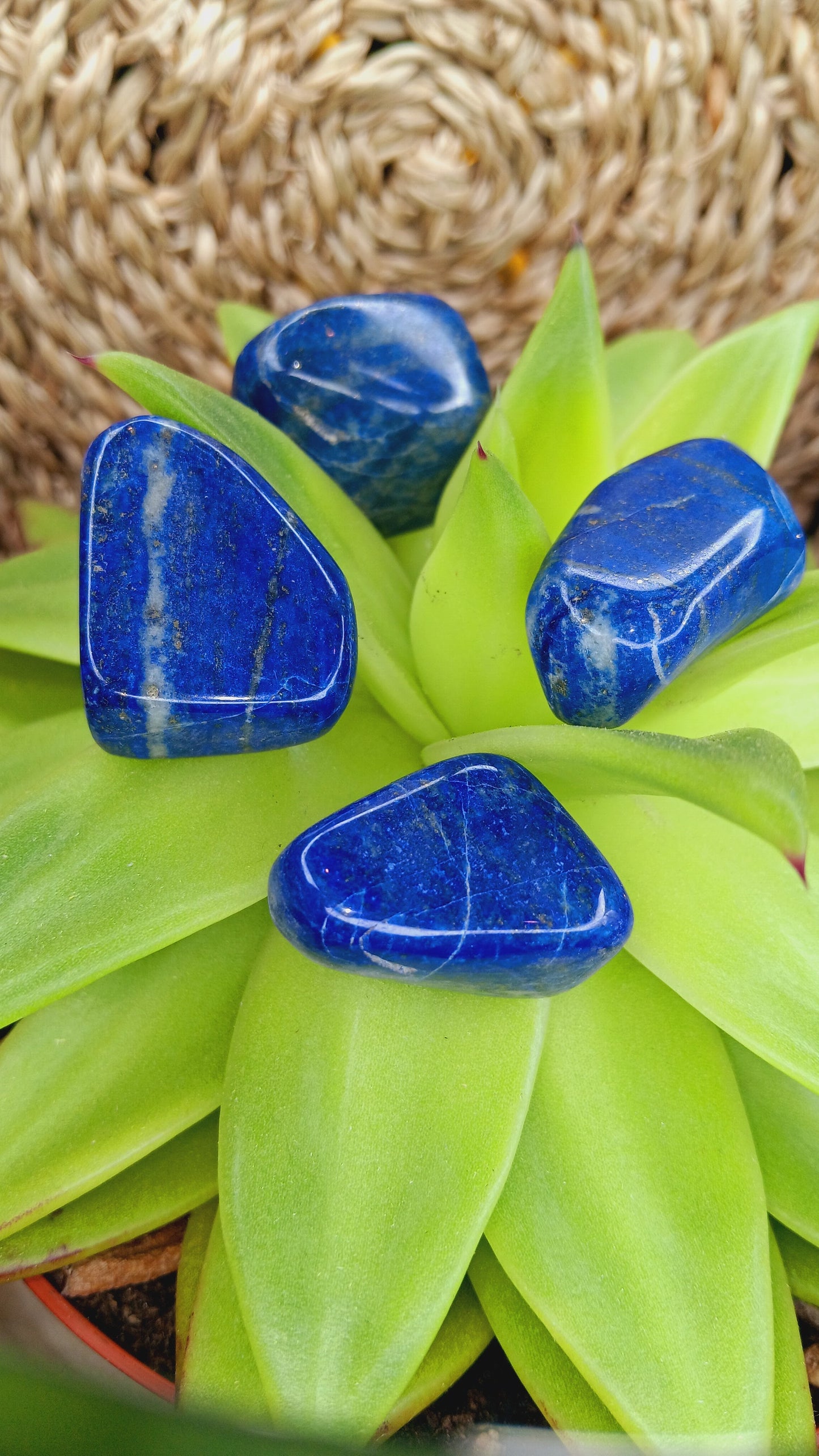 Natural Lapis Lazuli Tumbled Polished