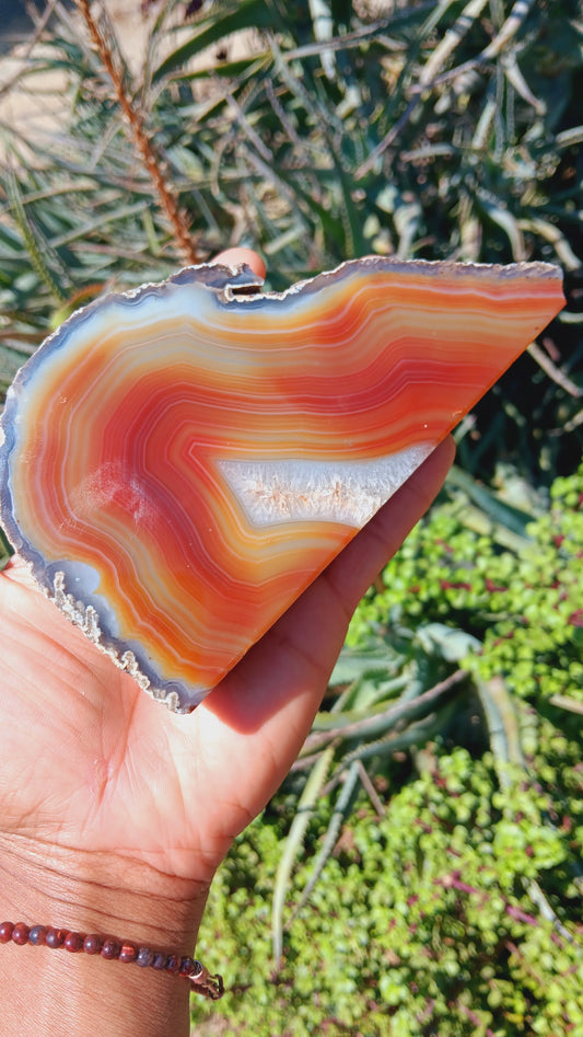 Natural Carnelian with Quartz Geode