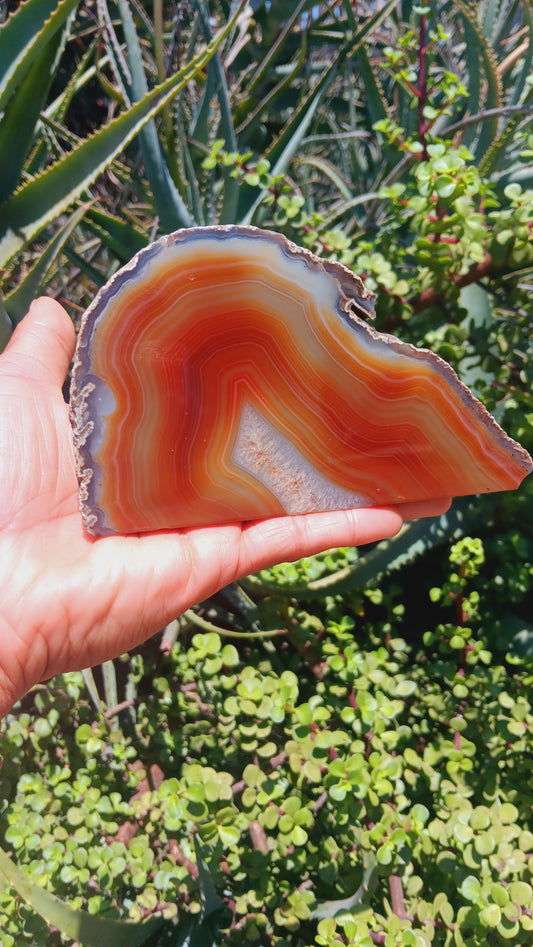 Natural Carnelian with Quartz Geode