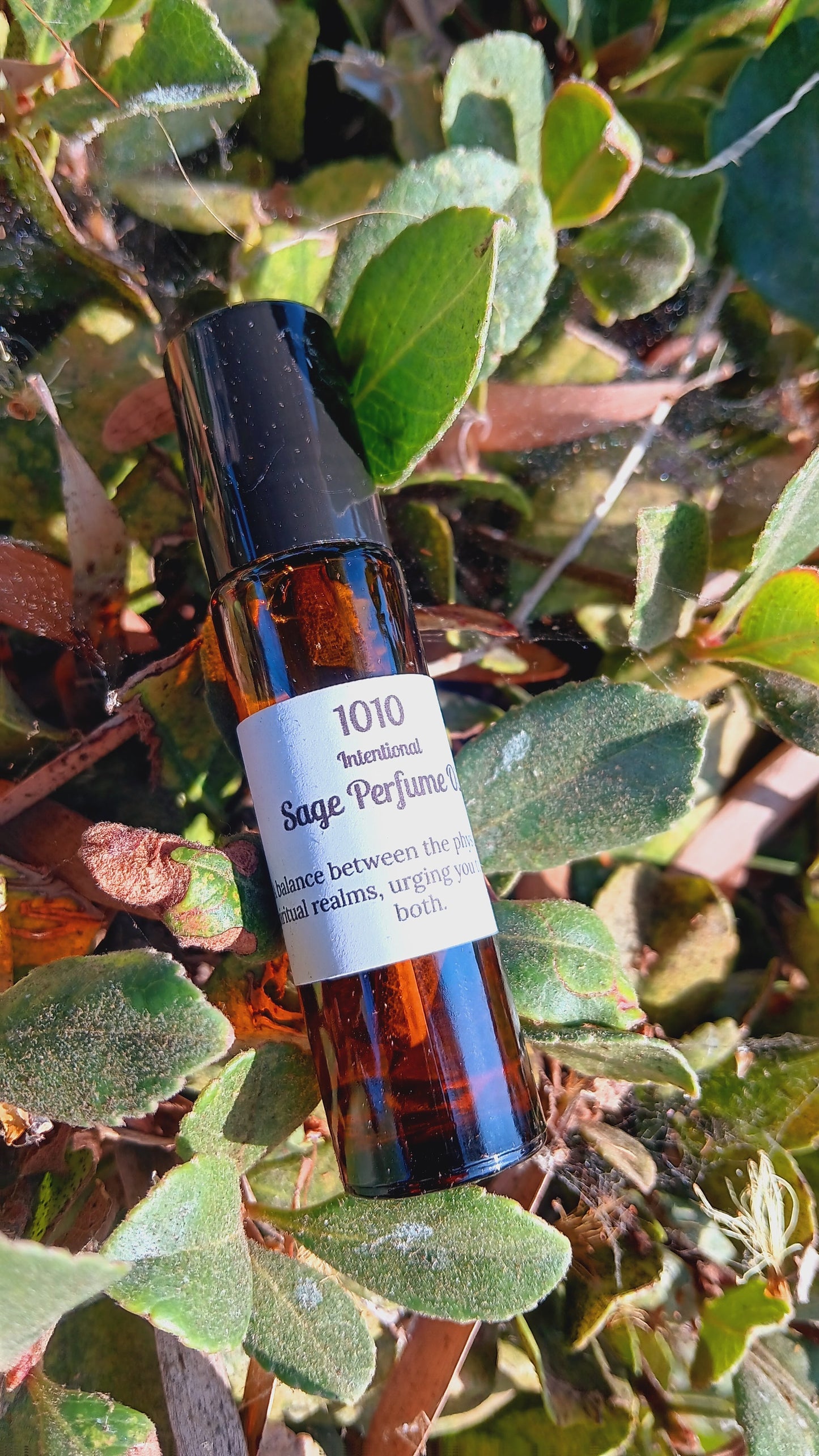 1010 Sage Perfume