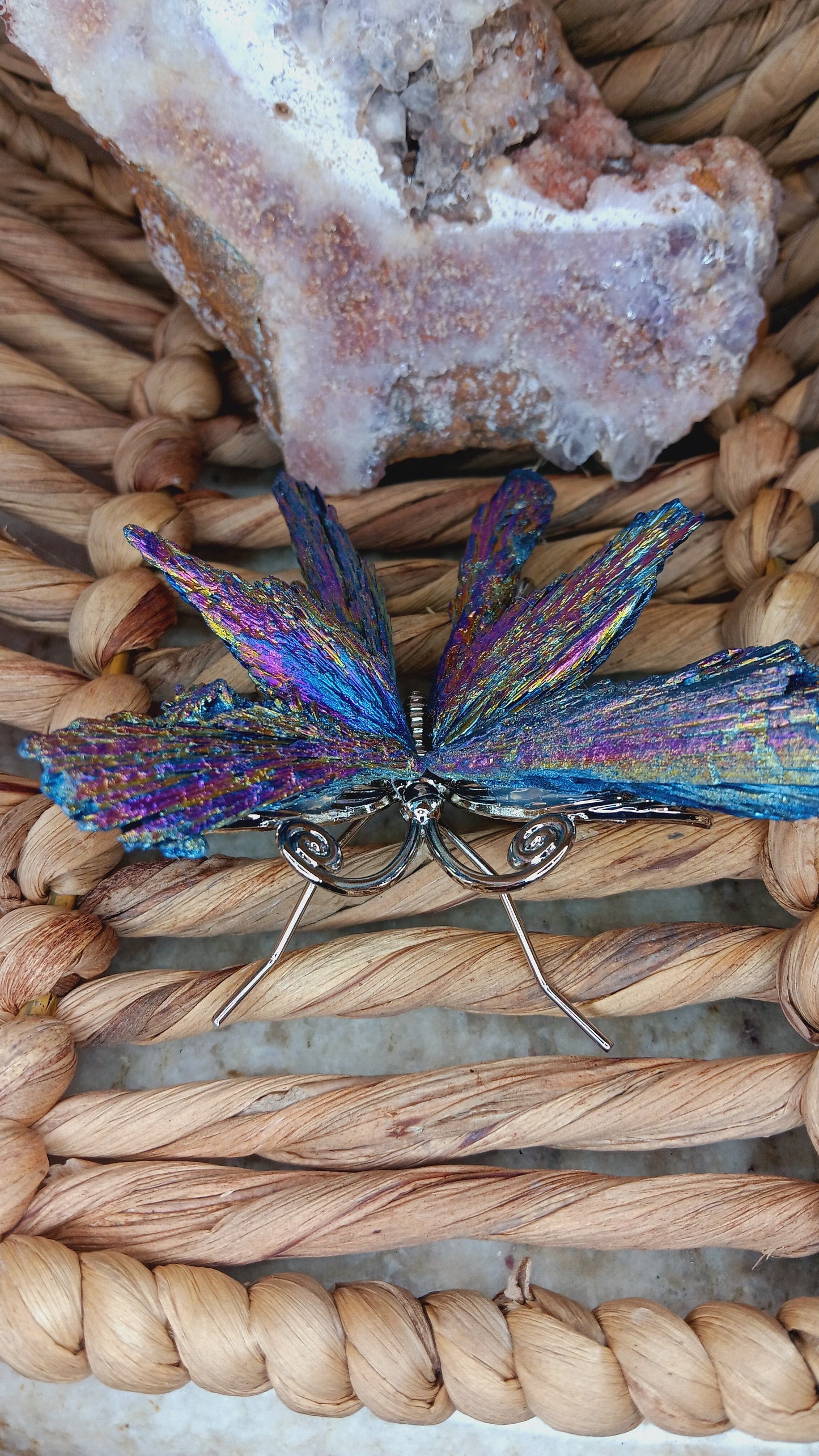 Butterfly Kyanite Crystal/ Titanium Black Kyanite Butterfly