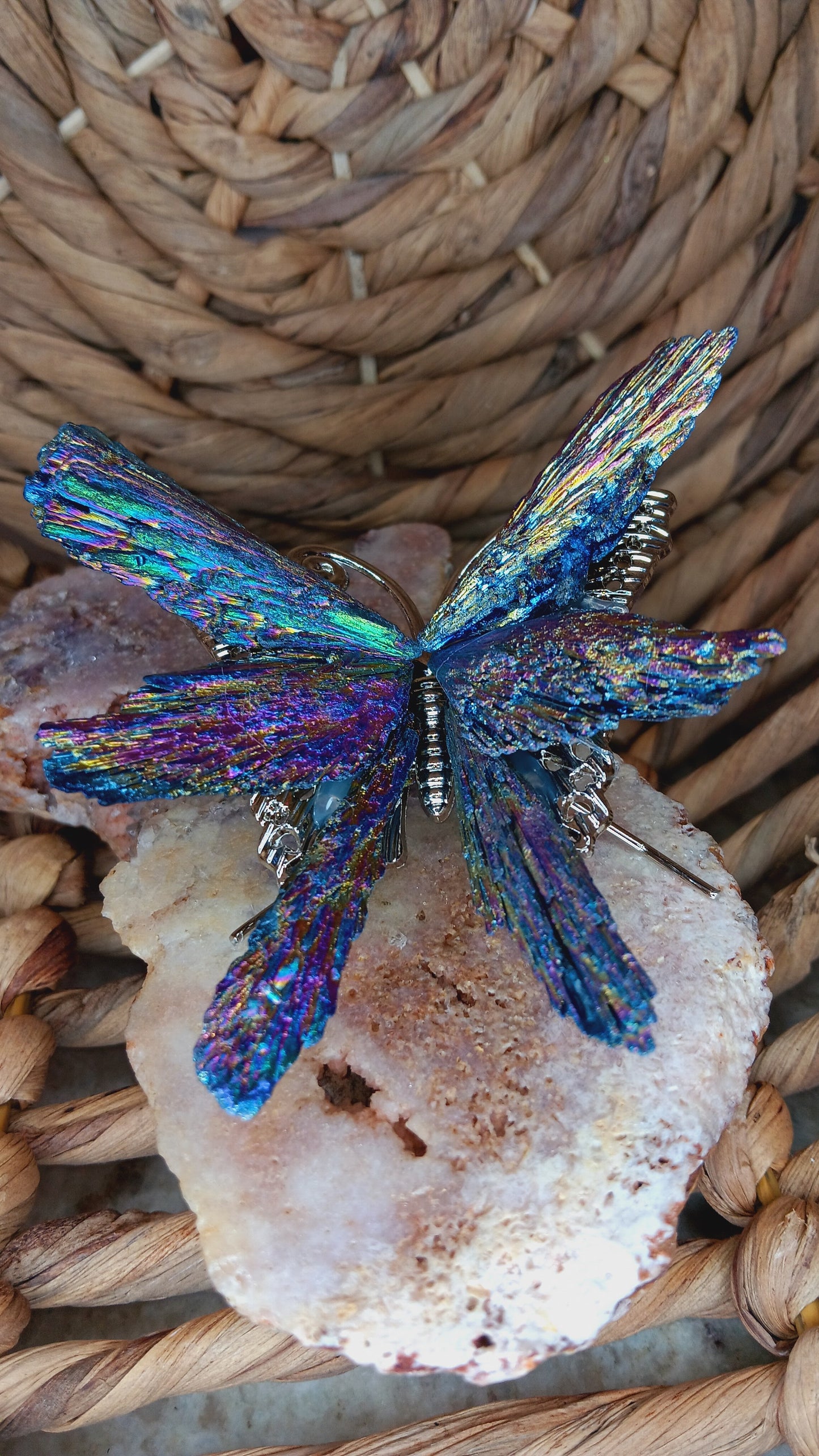 Butterfly Kyanite Crystal/ Titanium Black Kyanite Butterfly