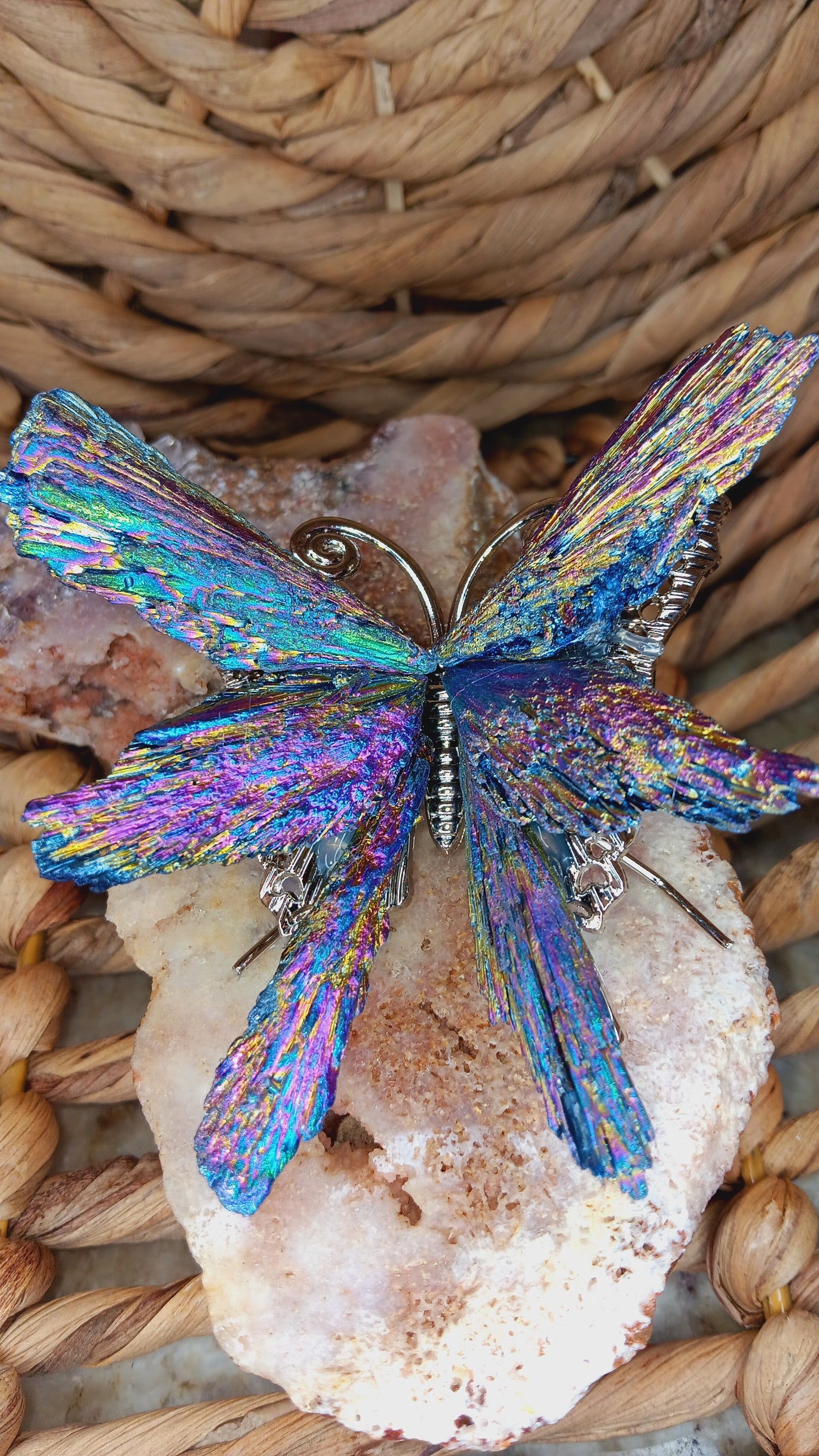 Butterfly Kyanite Crystal/ Titanium Black Kyanite Butterfly