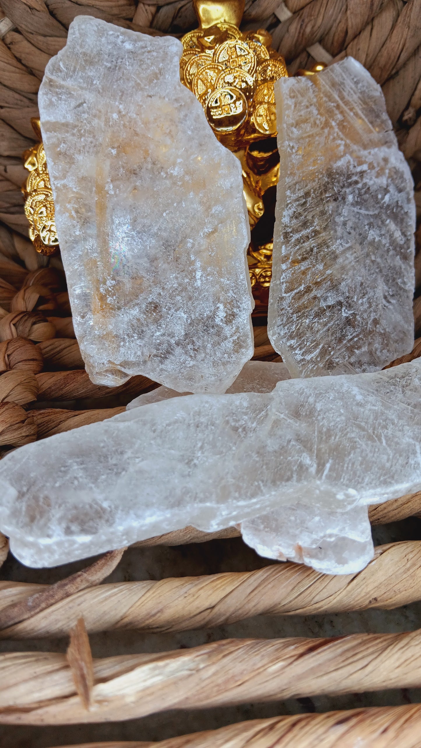 Fishtail Selenite/ Raw Selenite/ Angel Wing Selenite