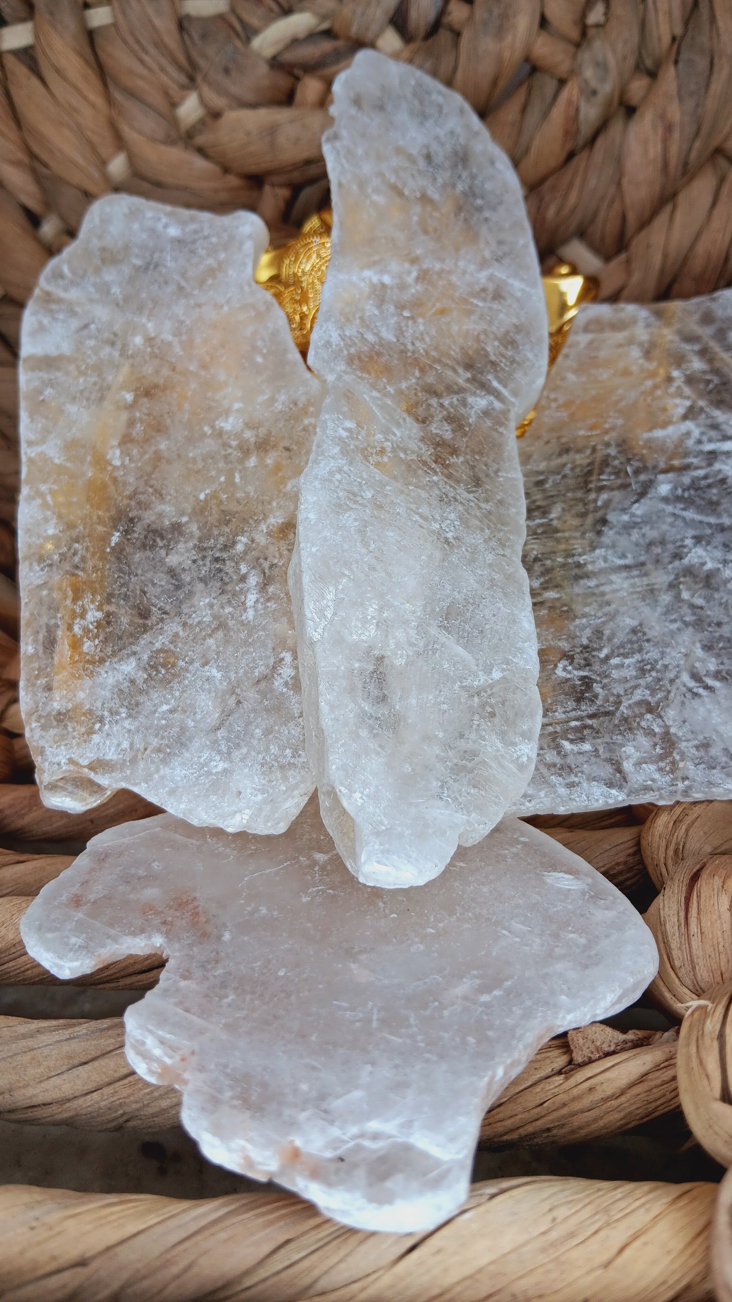 Fishtail Selenite/ Raw Selenite/ Angel Wing Selenite