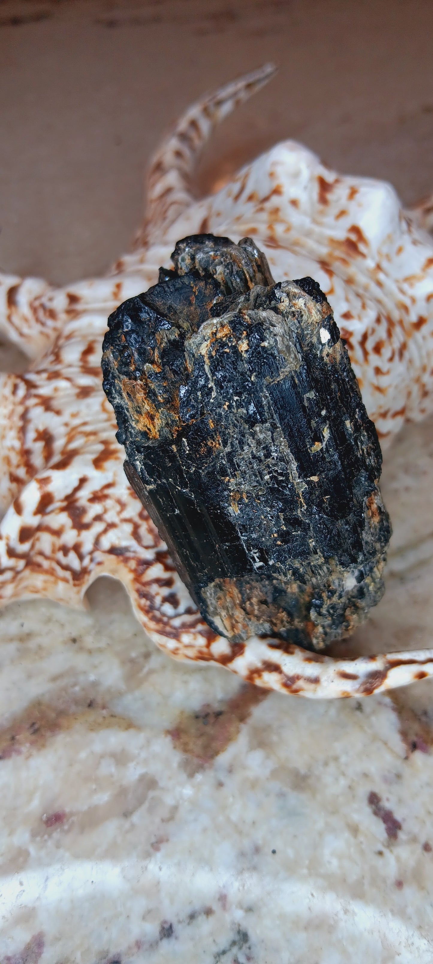 Natural Black Tourmaline And Muscovite Mica Crystal