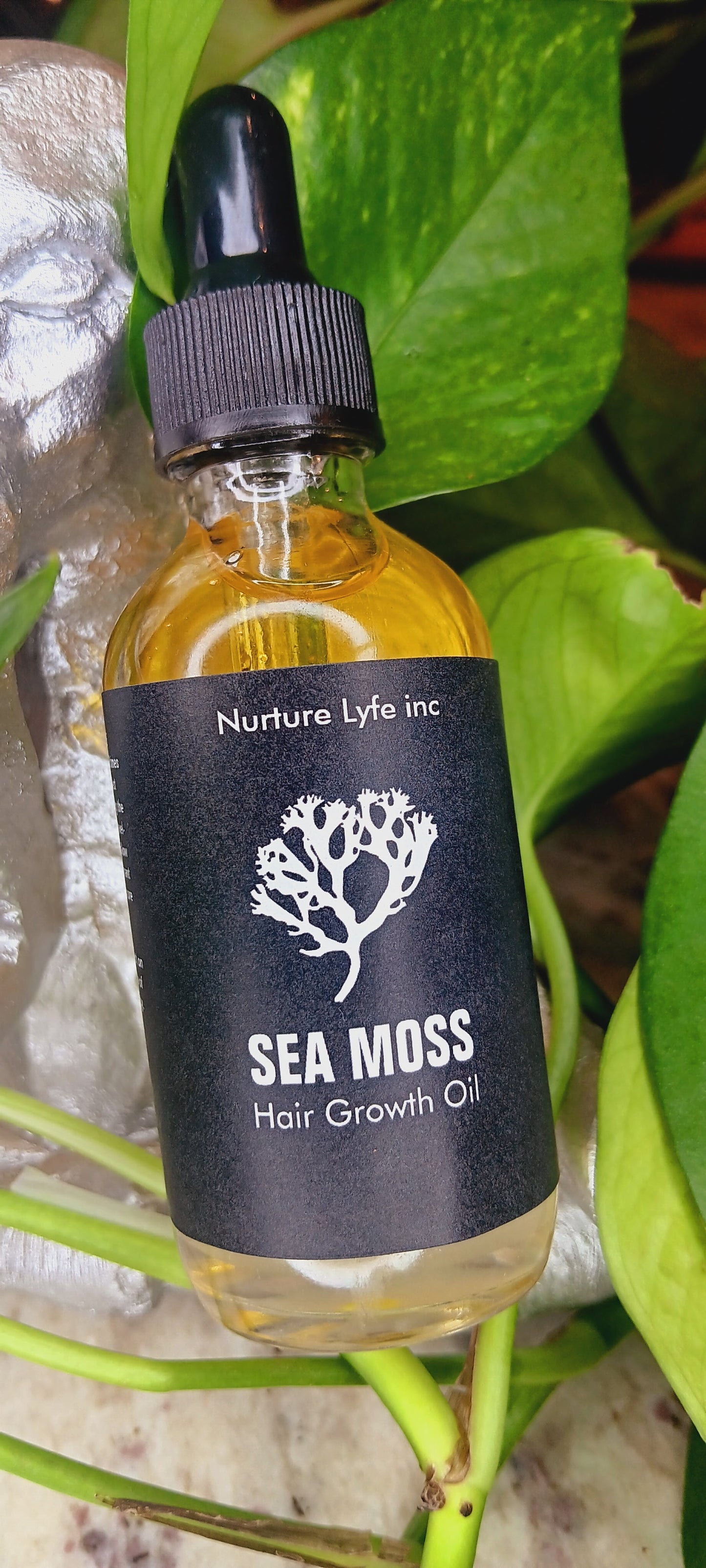 Sea Moss Hair Growth Oil