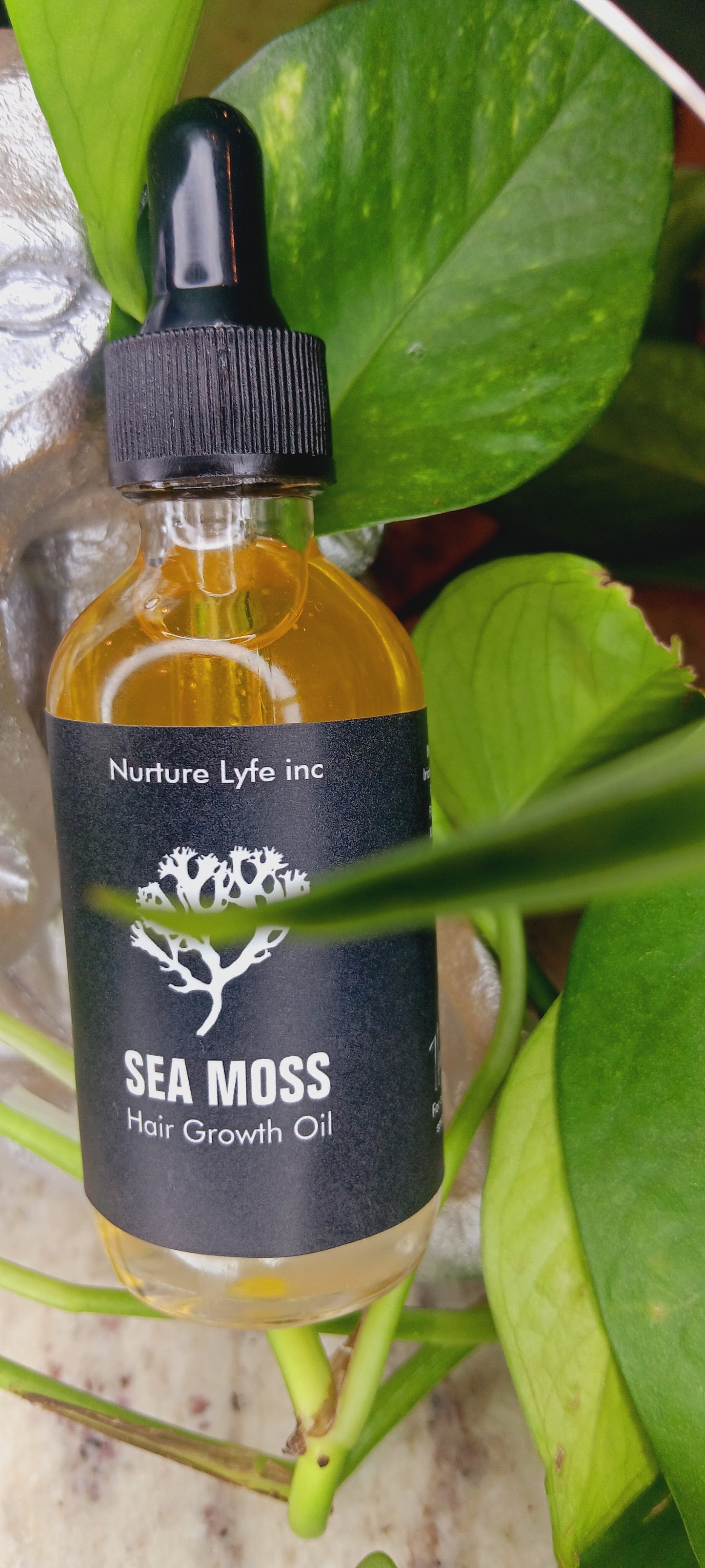 Sea Moss Hair Growth Oil