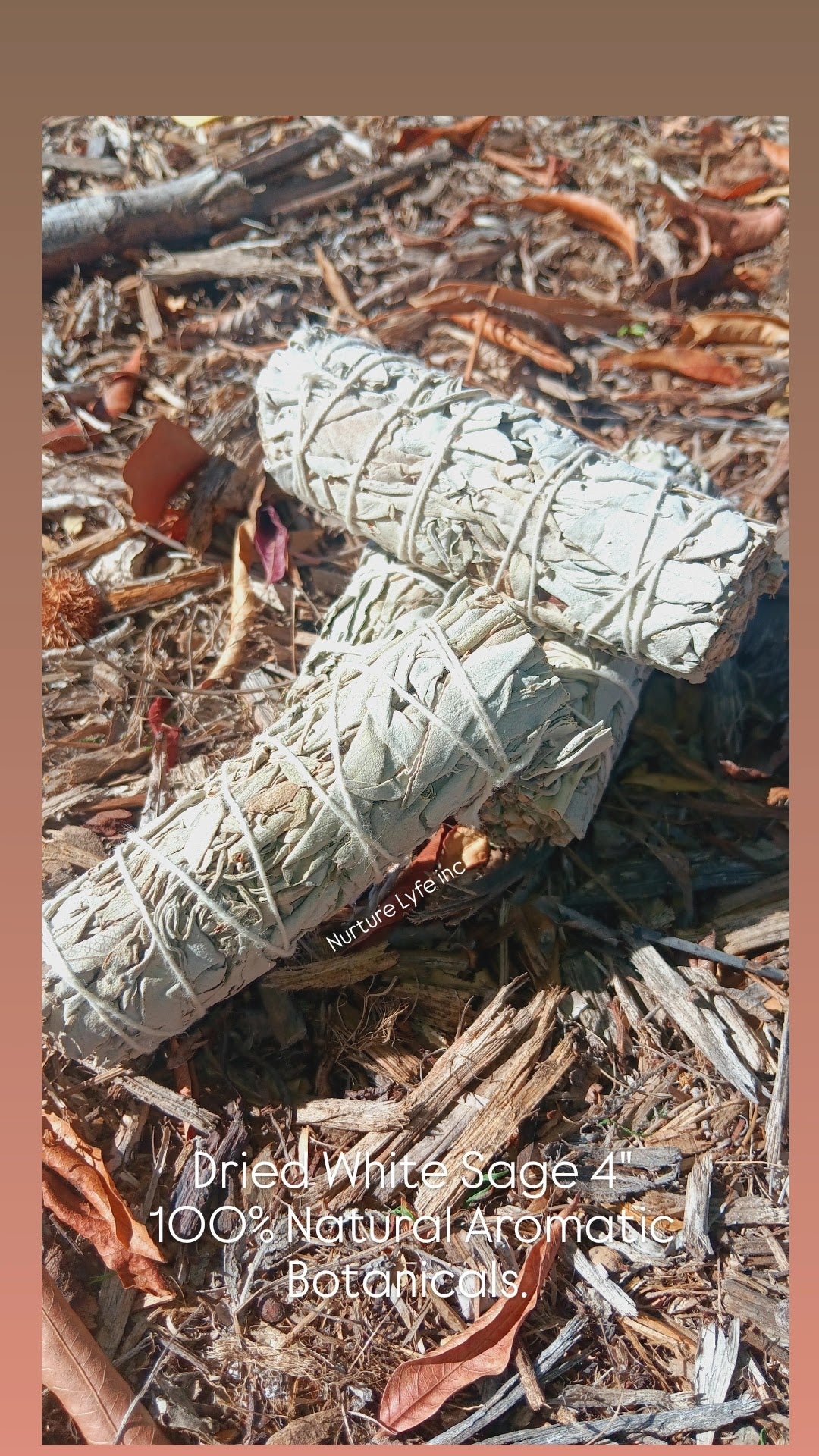 Dried White Sage 4"